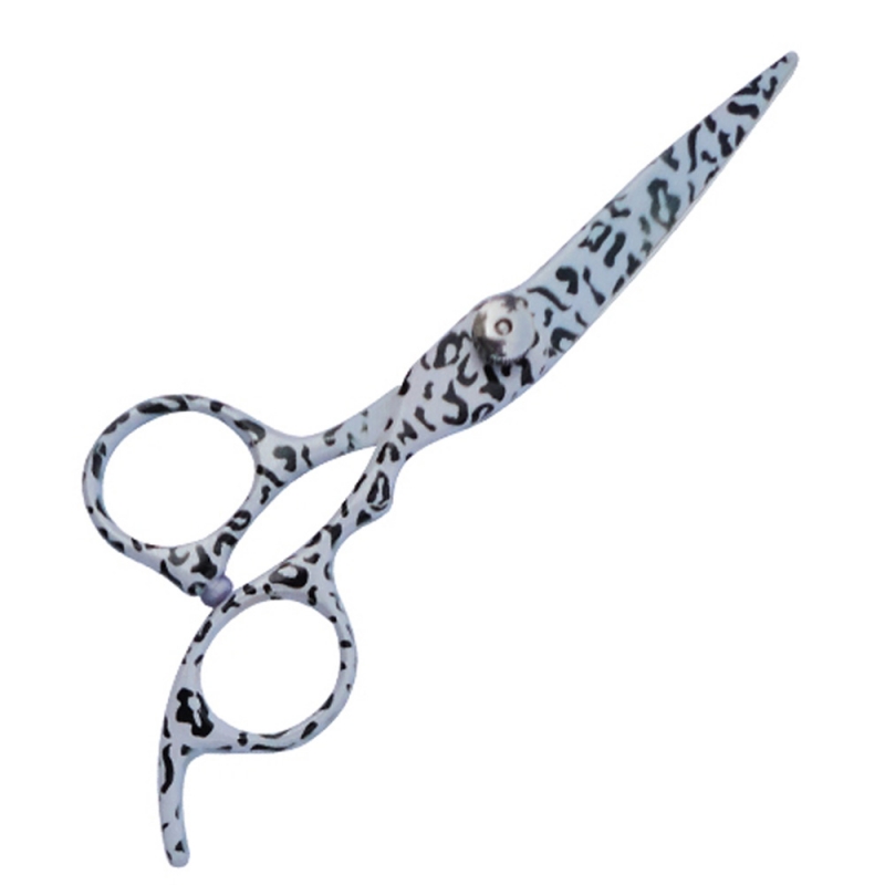 Professional Hair Cutting Scissors
