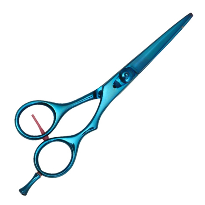 Professional Hair Cutting Scissors