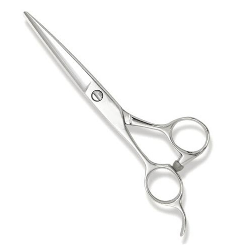 Professional Hair Cutting Scissors